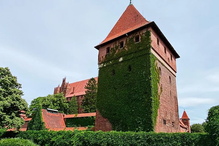 Ivy-covered brick tower of Malbork Castle against a blue sky.